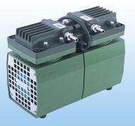 10899790385f3f7f3937c81 e1757458112265.jpg