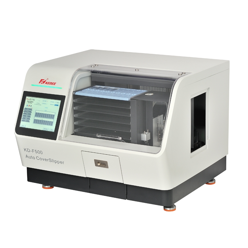 16940476779032.jpg 16940476779032.jpg