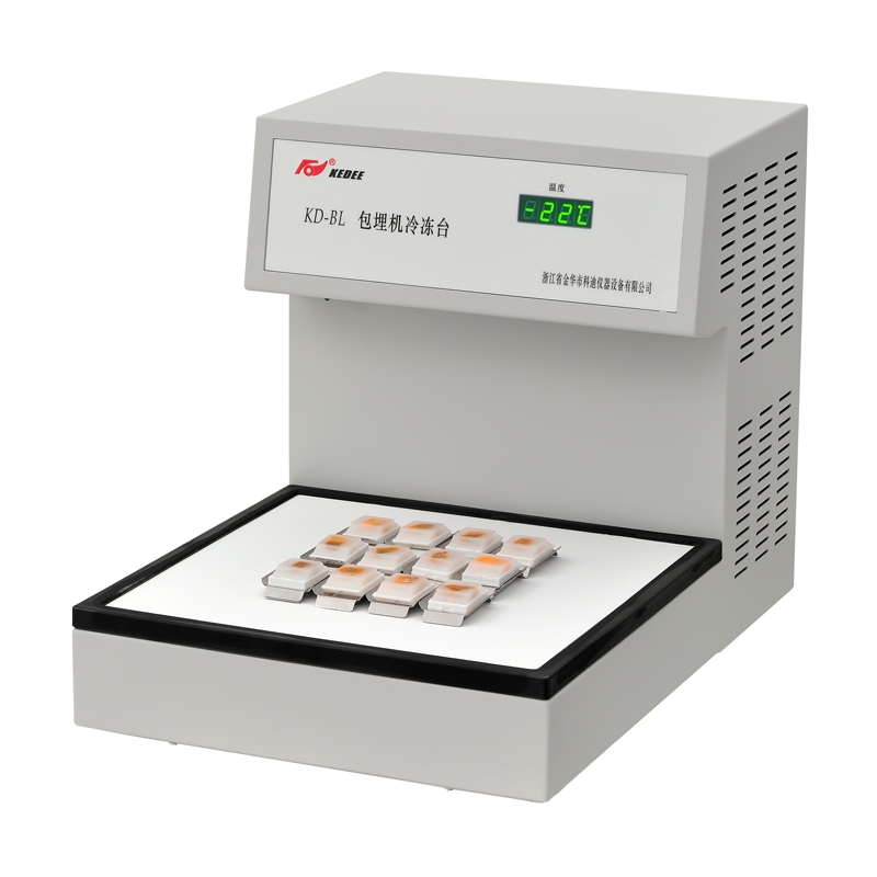 16940521175206.jpg 16940521175206.jpg