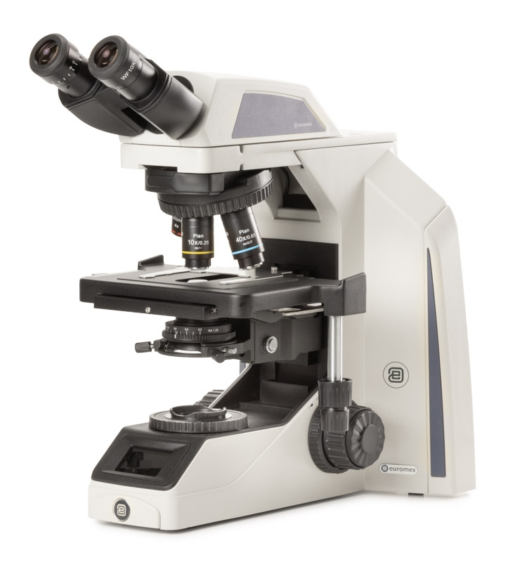 ax.1052 pli.jpg ax.1052 pli.jpg