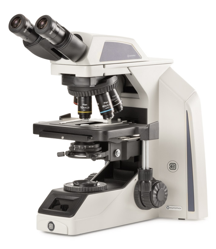 ax.1152 pli.jpg ax.1152 pli.jpg