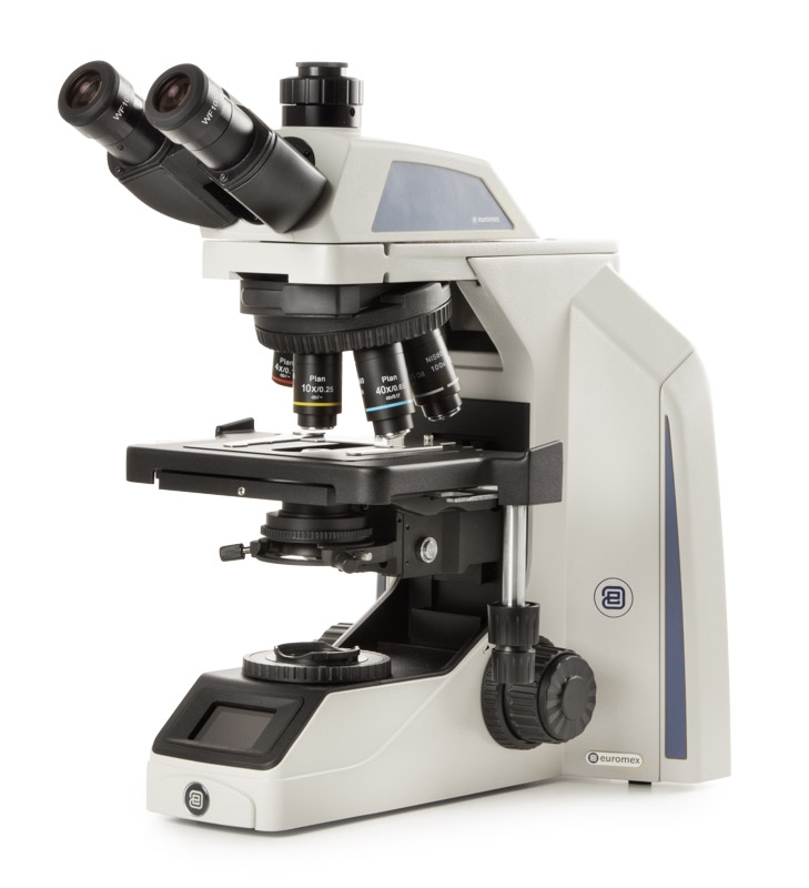 ax.1153 pli.jpg ax.1153 pli.jpg