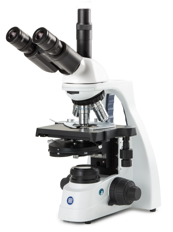 bs.1153 plphi.jpg bs.1153 plphi.jpg