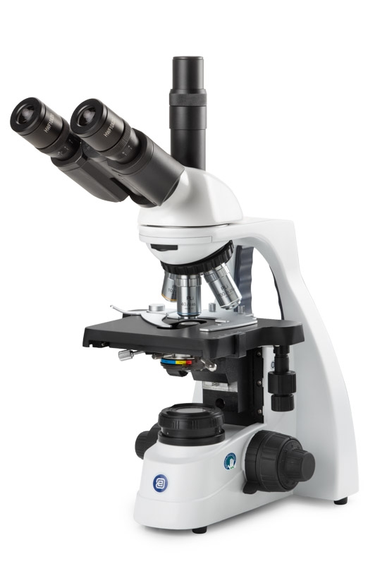 bs.1153 pli.jpg bs.1153 pli.jpg