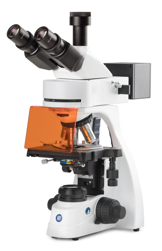 bs.3153 pli.jpg bs.3153 pli.jpg