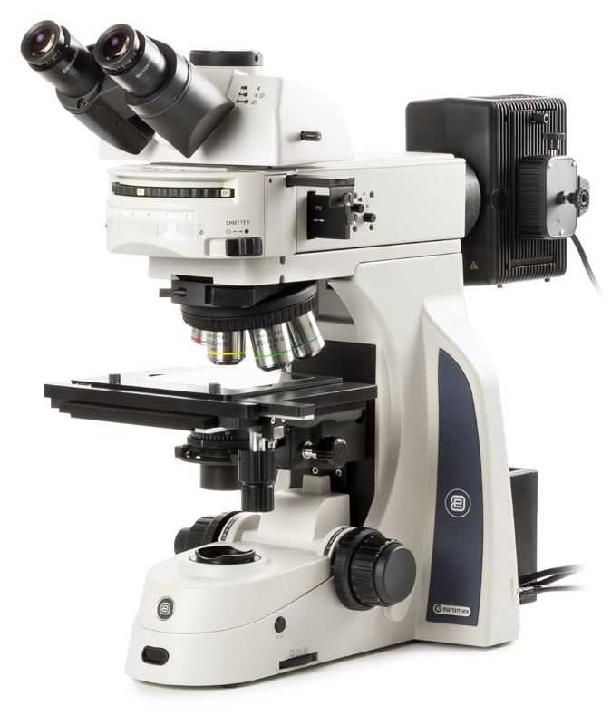 dx.2053 plmri.jpg dx.2053 plmri.jpg