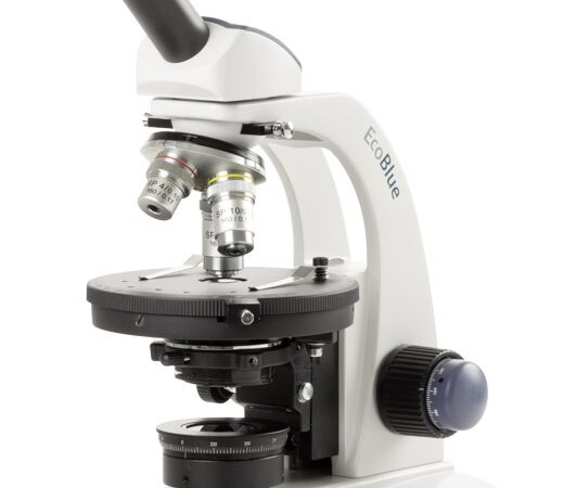 ec.1001 p hled s.jpg