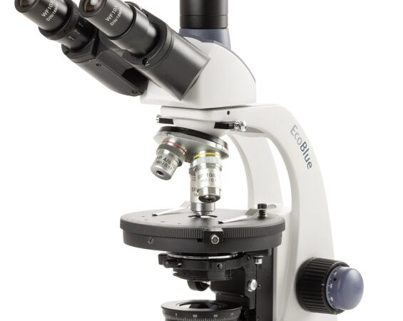 ec.1003 p hled s.jpg