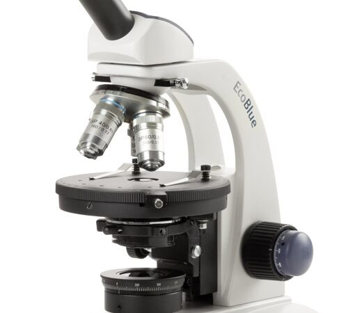 ec.1601 p hled s.jpg