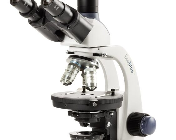 ec.1603 p hled s.jpg