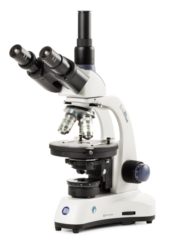 ec.1603 p hled s.jpg ec.1603 p hled s.jpg