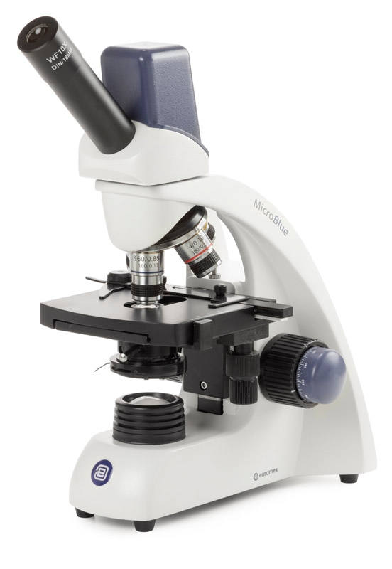 mb.1655 5.jpg mb.1655 5.jpg