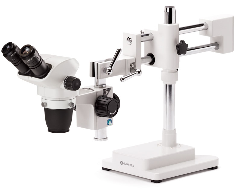 nz.1702 b.jpg nz.1702 b.jpg