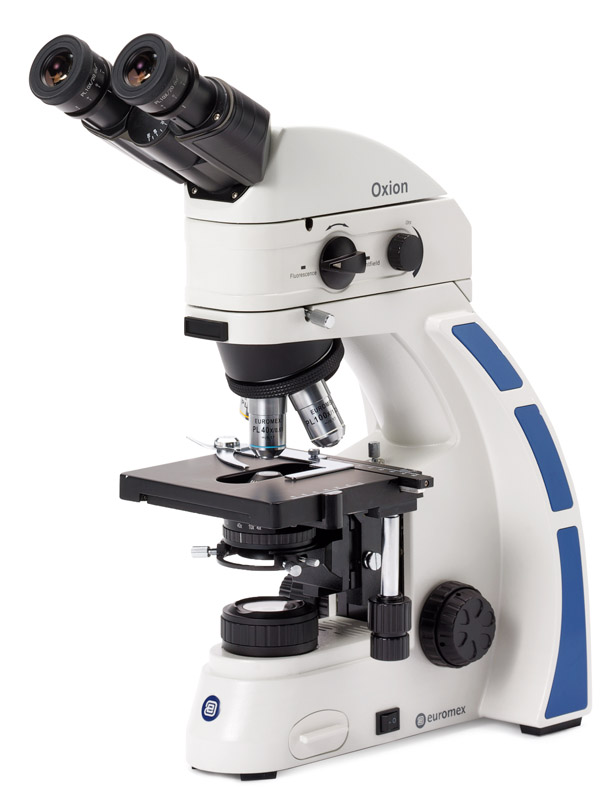 ox.3230.jpg ox.3230.jpg