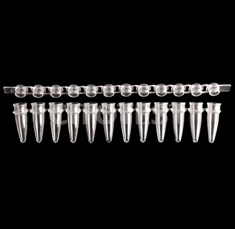 pcr tubes in strips 460 460.jpg