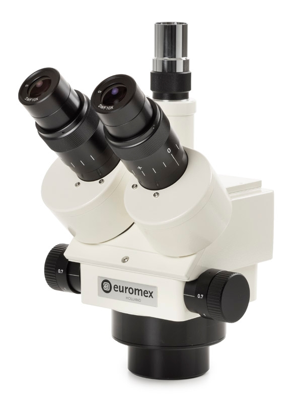 ze.1654.jpg ze.1654.jpg