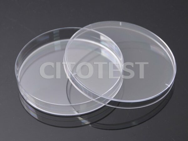 peiyangmin 800 800.jpg